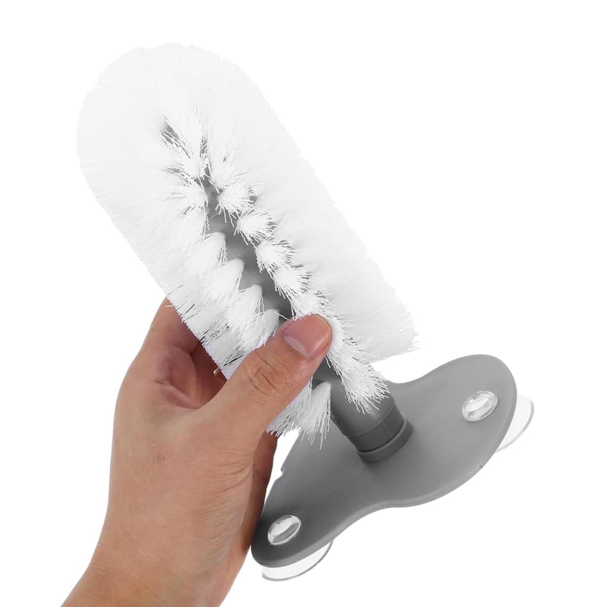 Turtle Shell Cleaning Brush
