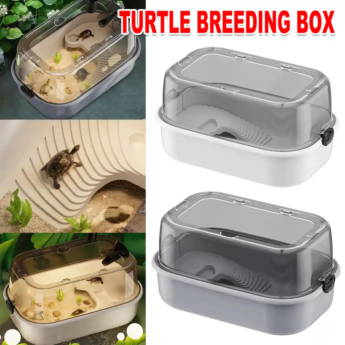 Turtle Box | 360° Panoramic Habitat Tank With Terrace – Petfection Corner