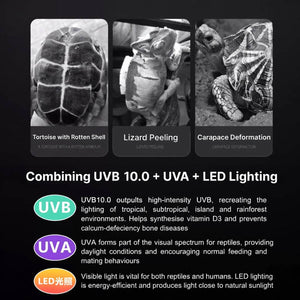 UVB 10.0 LED Reptile Lamp 6W | 3 Lighting Modes UVA + UVB Terrarium Light