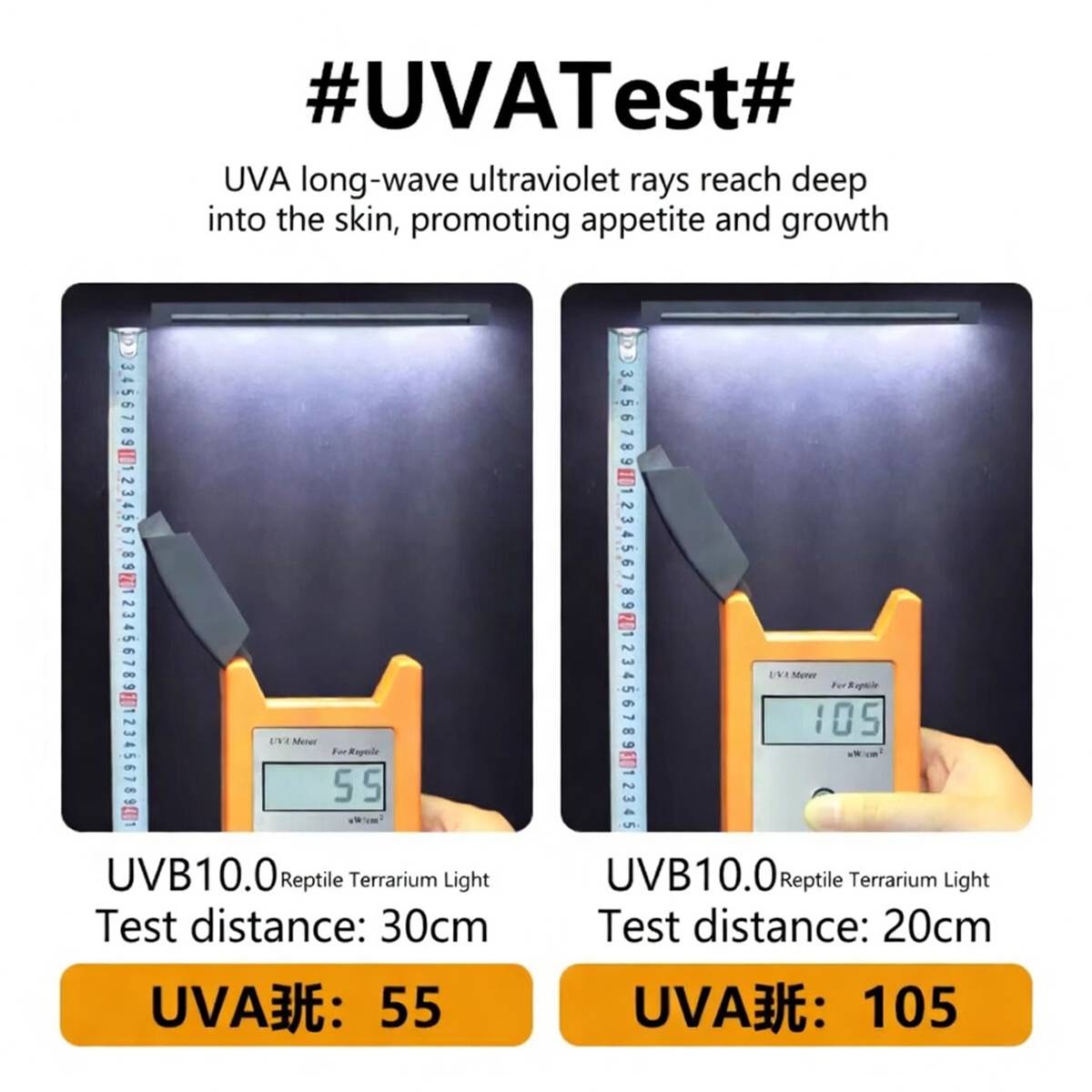 UVB 10.0 LED Reptile Lamp 6W | 3 Lighting Modes UVA + UVB Terrarium Light
