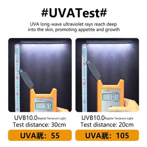 UVB 10.0 LED Reptile Lamp 6W | 3 Lighting Modes UVA + UVB Terrarium Light