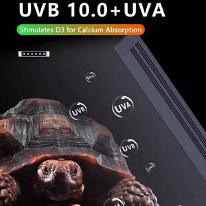 UVB 10.0 LED Reptile Lamp 6W | 3 Lighting Modes UVA + UVB Terrarium Light
