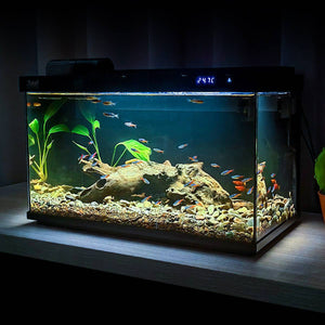 Ultra-White Fish Tank with Oxygenation - Living Aquarium (380/480B)