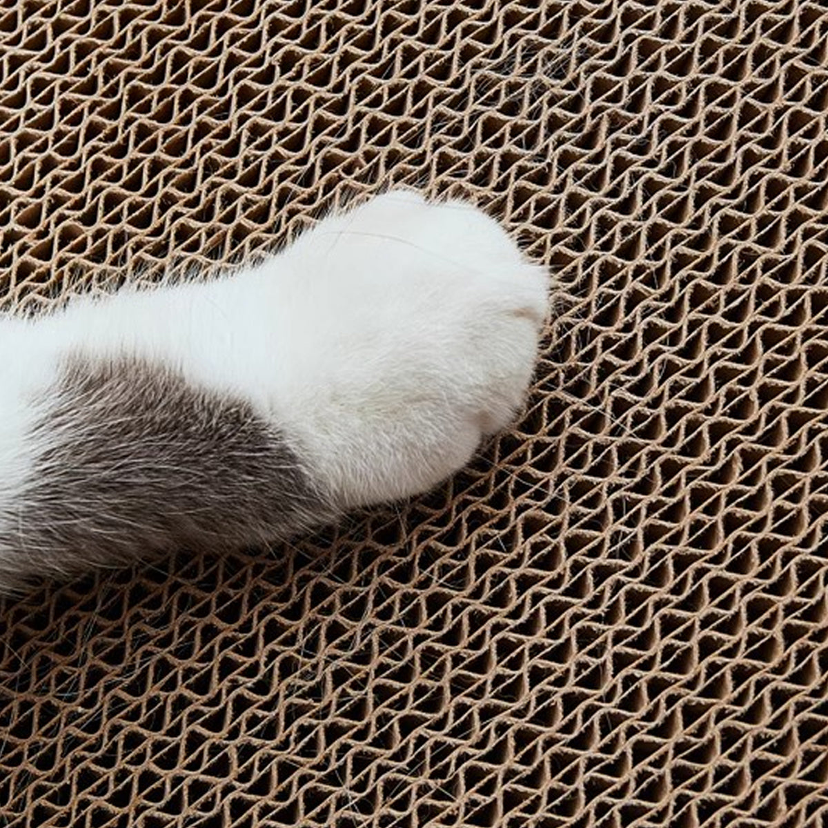 Vertical Cat Scratching Board with Ball Toy and Ramp