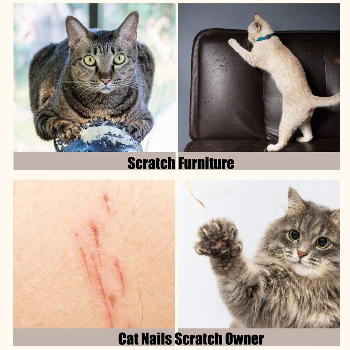 Vertical Cat Scratching Board with Ball Toy and Ramp