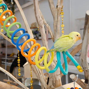 Vibrant Colour Stretchy Spiral Bird Swing Toy for Parrots & Budgies