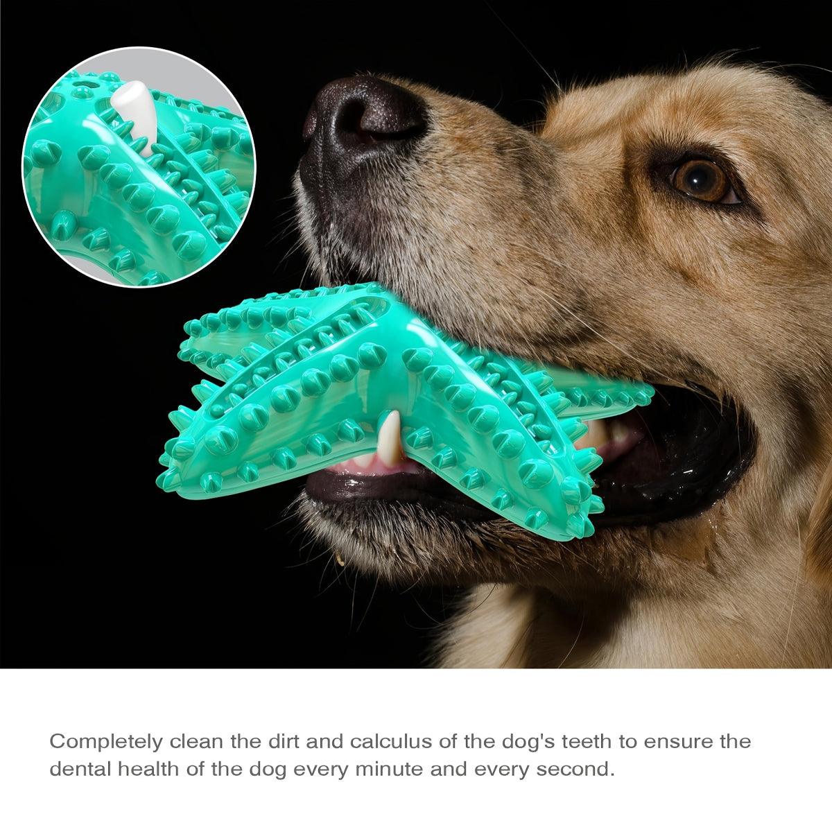 Squeaky Pet Chew Toy Durable Starfish Design for Dogs
