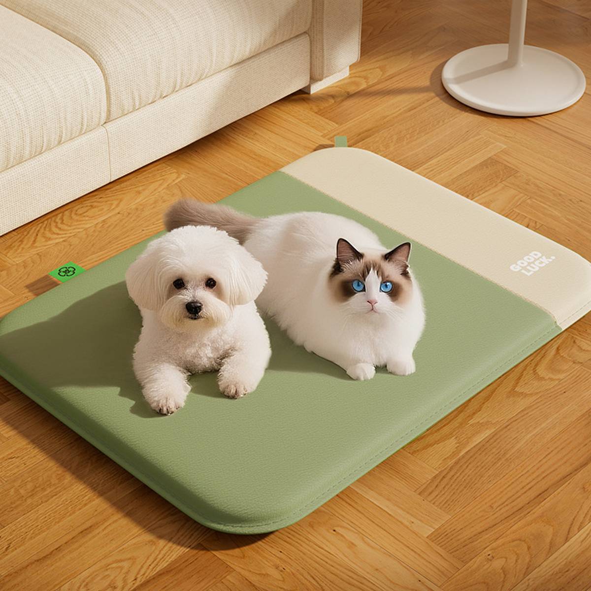 Waterproof Pet Mat With Removable Foam Core For All-Season Comfort