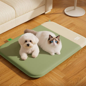 Waterproof Pet Mat With Removable Foam Core For All-Season Comfort