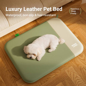 Waterproof Pet Mat With Removable Foam Core For All-Season Comfort