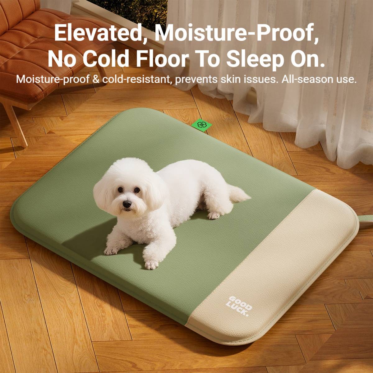 Waterproof Pet Mat With Removable Foam Core For All-Season Comfort
