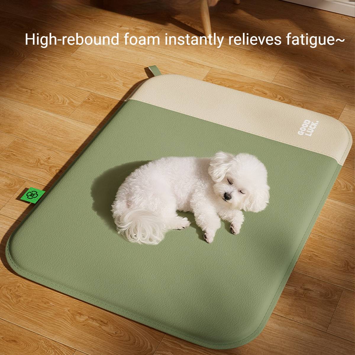Waterproof Pet Mat With Removable Foam Core For All-Season Comfort