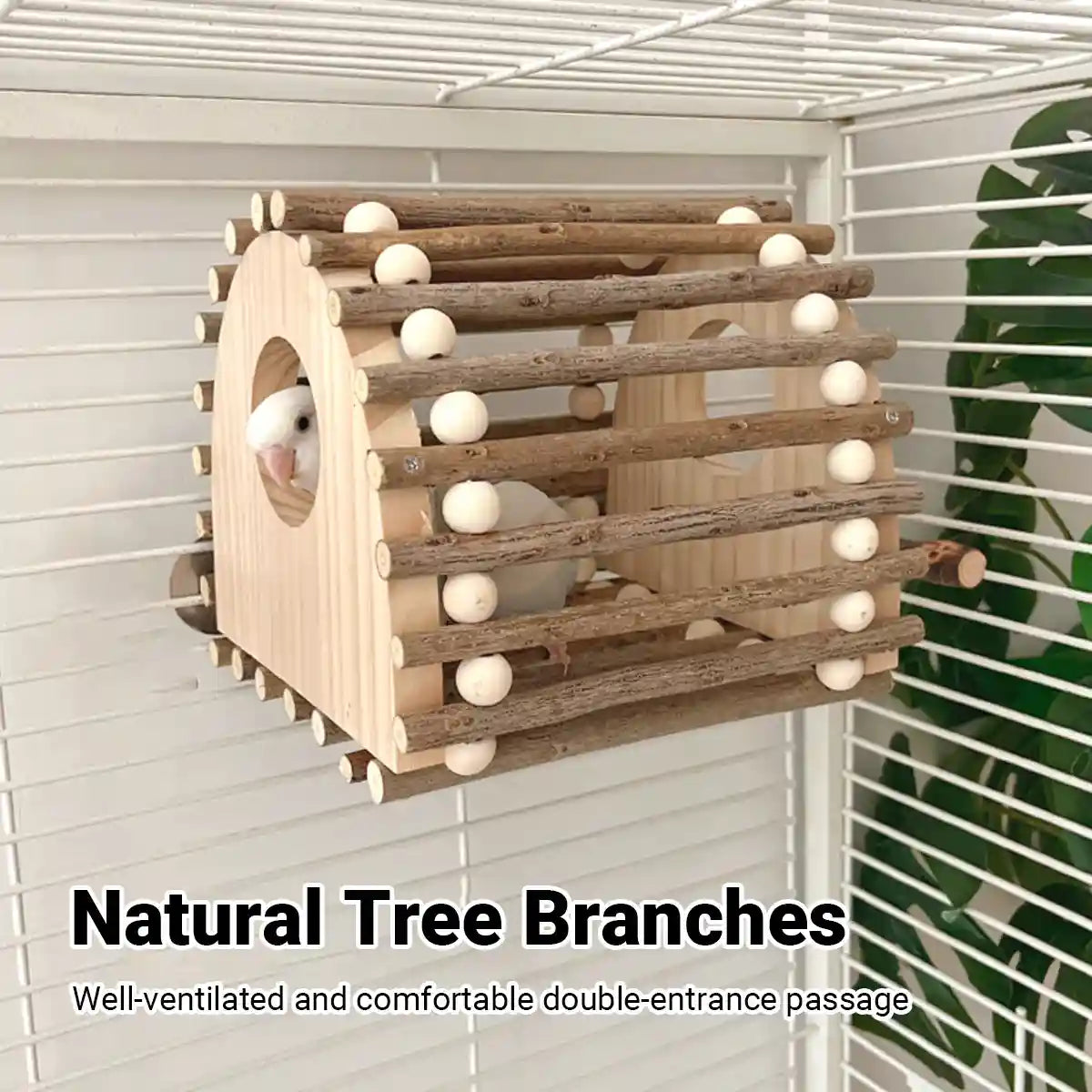 Wooden Bird House for Parrots and Lovebirds