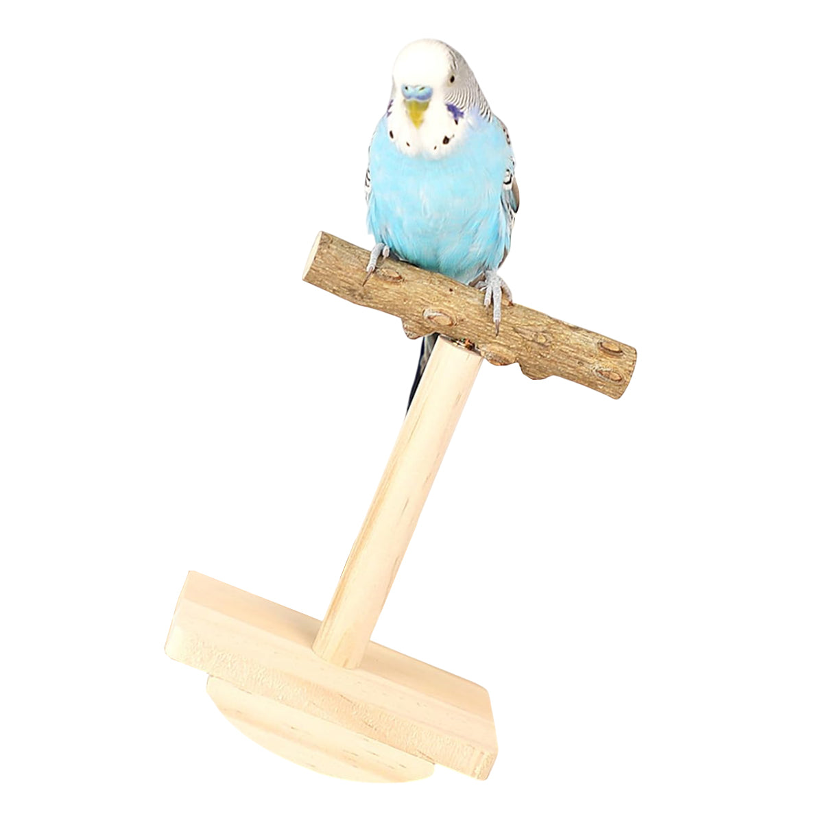 Natural Zanthoxylum Parrot Platform Stand for Claw Grinding & Resting