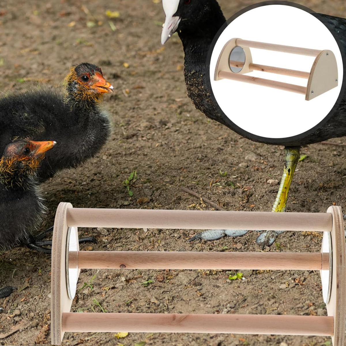Parrot Stand Pet Chicken Wooden Mirror Small Stand Chick Stand