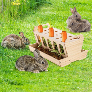 Wooden Rabbit Hutch Feeding Rack Solid Wood Carrot Holder