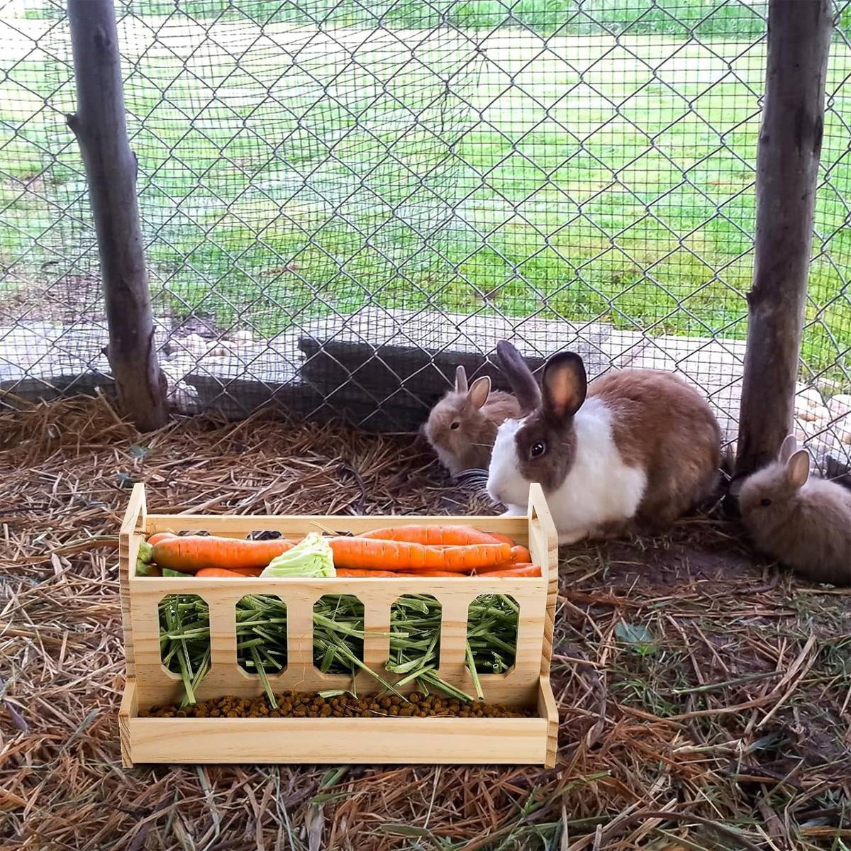 Wooden Rabbit Hutch Feeding Rack Solid Wood Carrot Holder