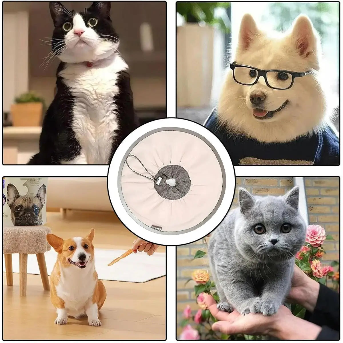 Adjustable Cat Recovery Collar for Grooming and Licking Prevention