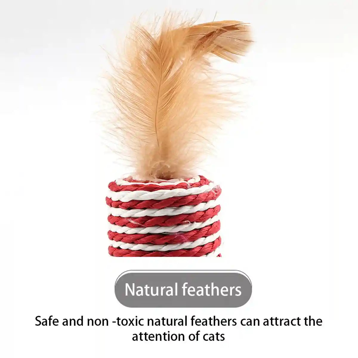 Cat Feather Toy Set with Wooden Wand and Bell