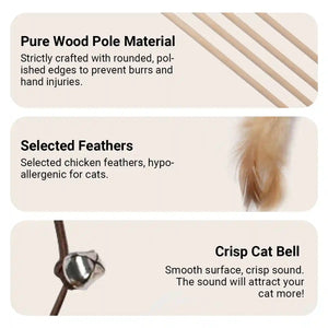 Cat Feather Toy Set with Wooden Wand and Bell