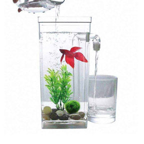 Self-cleaning mini fish tank with LED light, perfect for small spaces and easy maintenance.