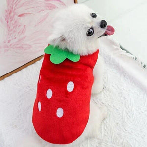 Velvet Dog Jumper Vest Soft Winter Outfit for Stylish Pets