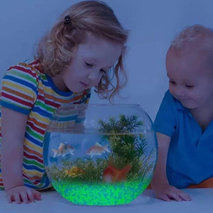 Luminous Sand Particles Micro Landscape Aquarium Fluorescent Landscape Luminous Sand 3-5mm Gravel Cross-border Supply