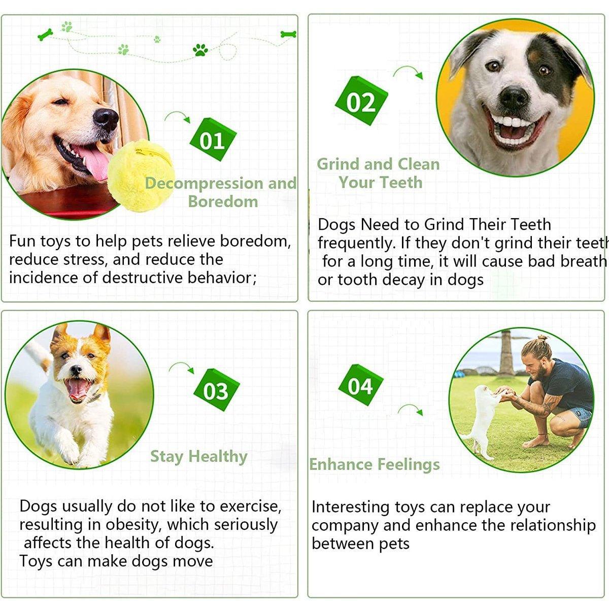 Interactive Pet Magic Roller Ball Toy Keeps Your Pets Engaged