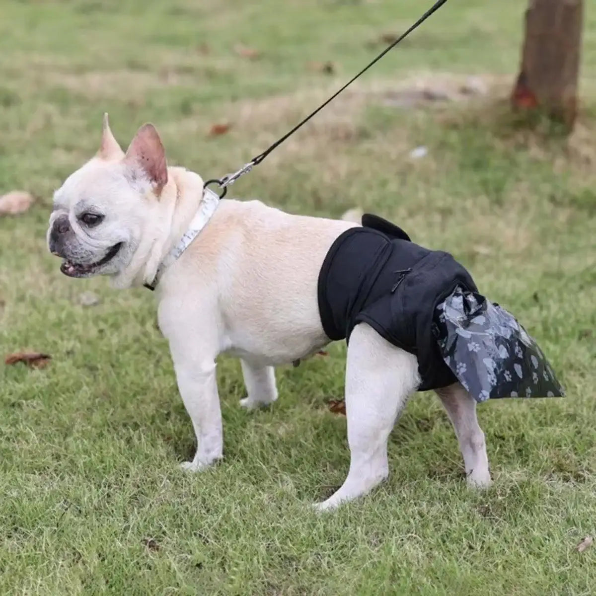 Dog Self-care Pants Pet Poop Collection Pants Pet Portable Dog Pants