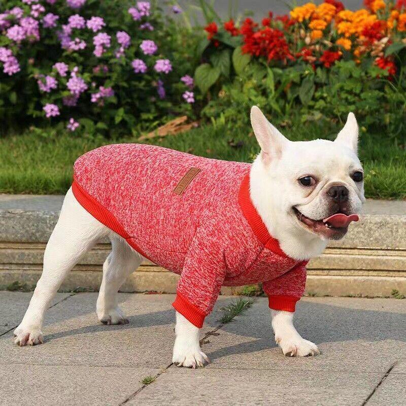 Winter Comfort Dog Jumper with Knitted Design and Colour Options