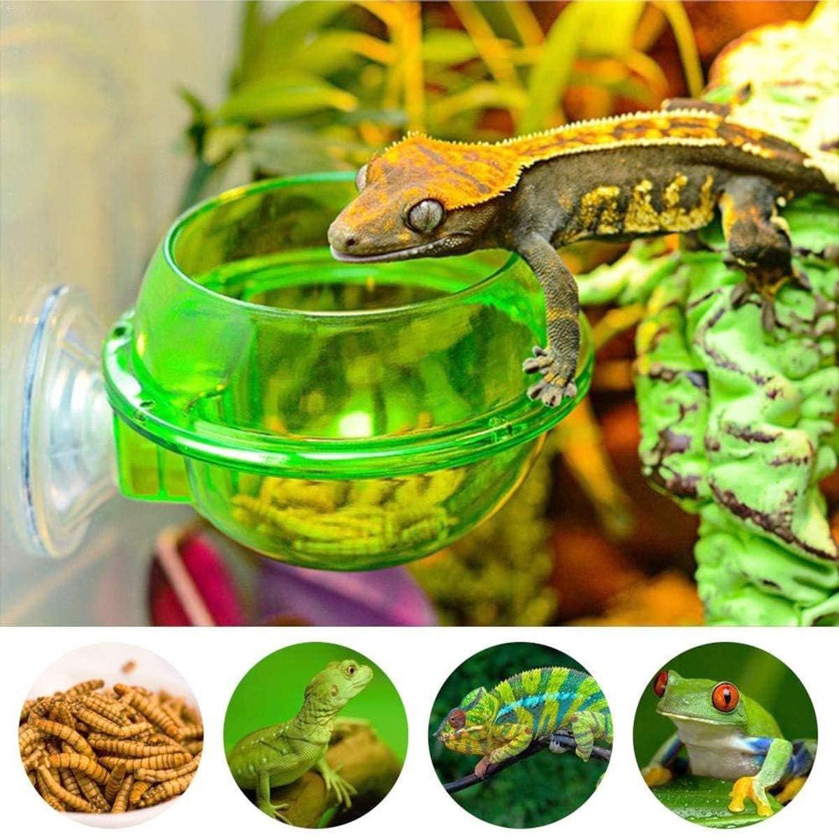 Suction Cup Reptile Feeder Bowl Anti-Escape Feeding Dish for Small Reptiles