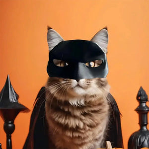 Halloween Bat Mask Cat Mask Pet Costume Accessories