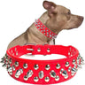 Studded Leather Dog Collar Stylish & Protective Designer Dog Collars