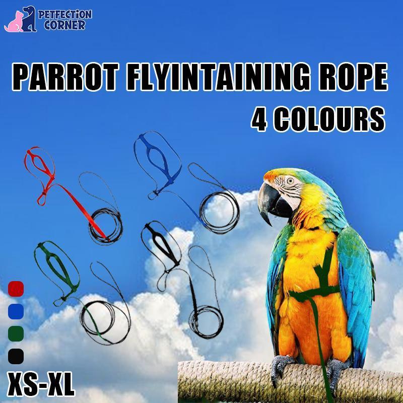 Outdoor Parrot Harness with Adjustable Bird Leash for Safe Flying