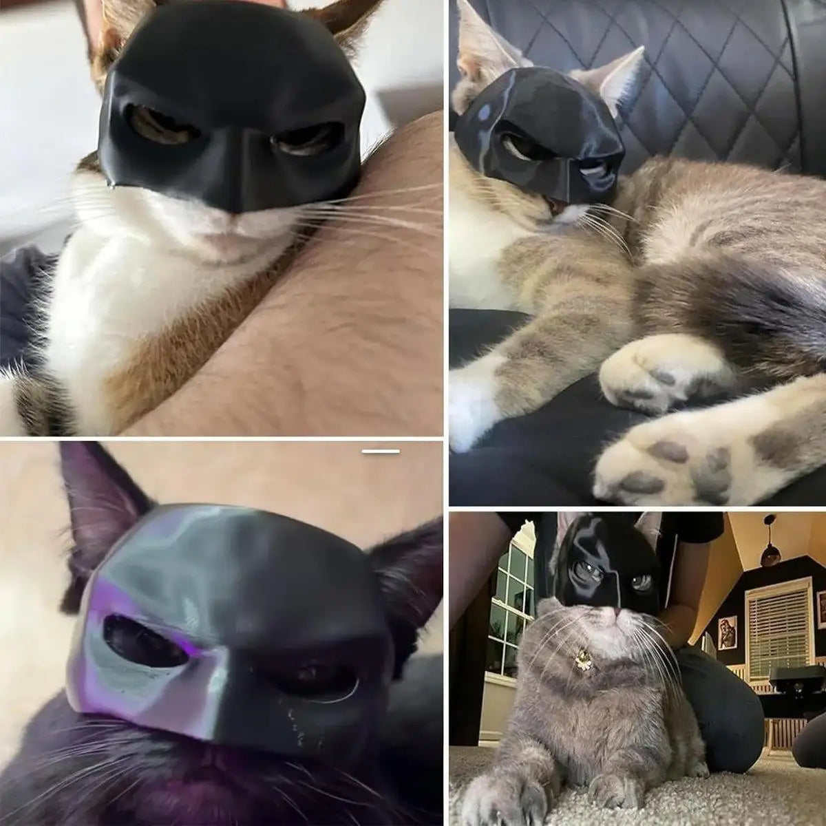 Halloween Bat Mask Cat Mask Pet Costume Accessories