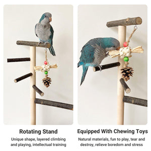 Wooden Parrot Stand Pole Interactive Bird Stand with Food Bowl