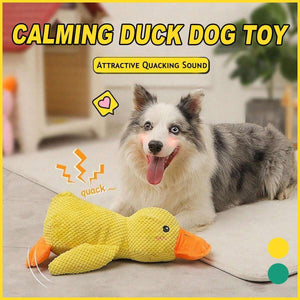 Squeaky Dog Toys