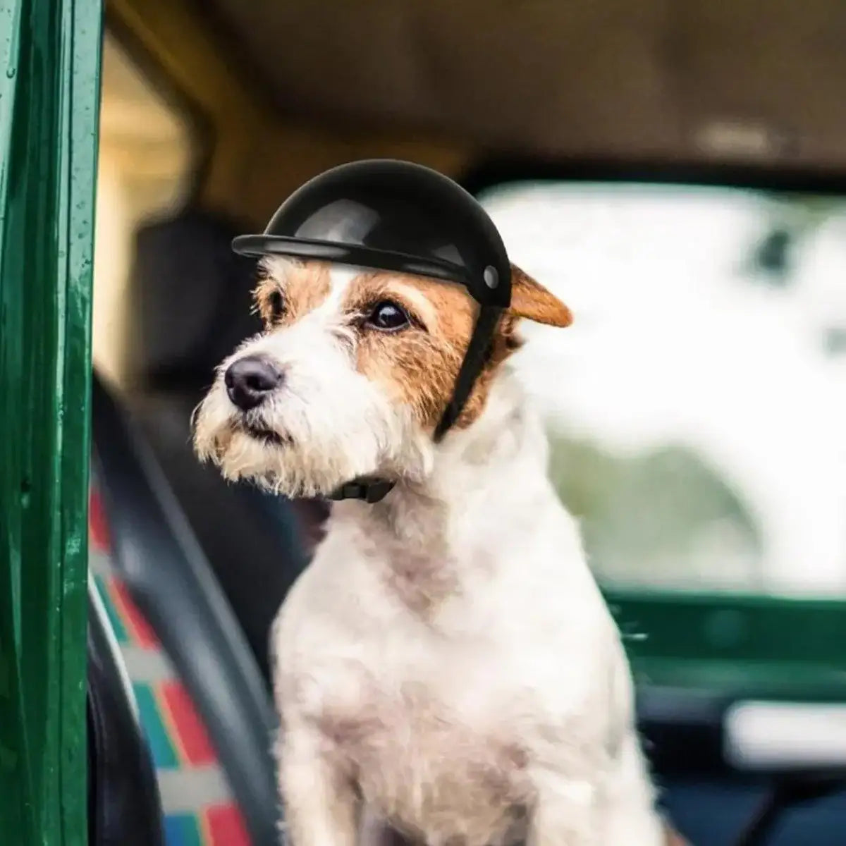 Pet Helmet New Motorcycle Helmet Dog Cat Accessories Pet Toy Hat Headwear