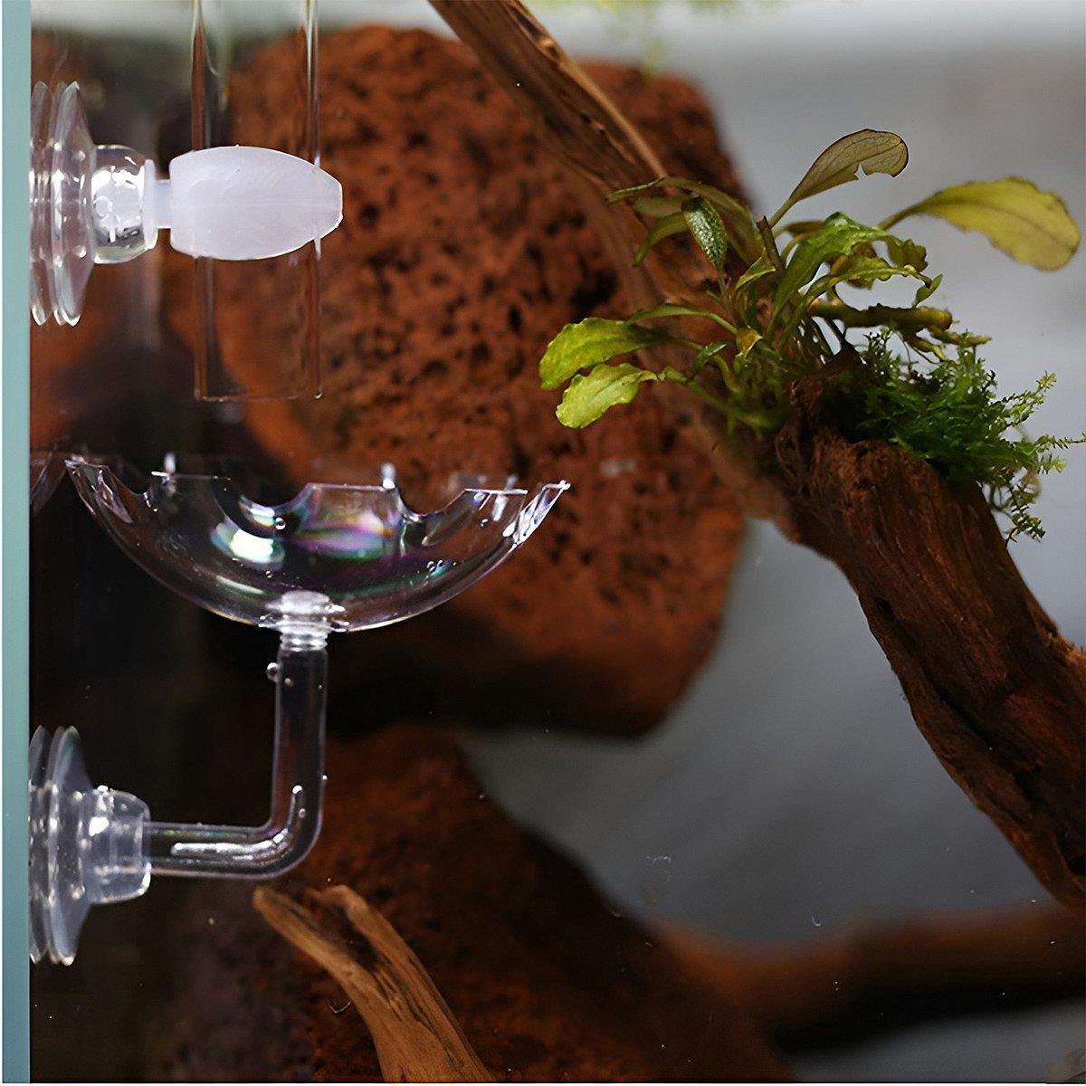 Aquarium Fish Tank Shrimp Food Feeder Clear Arylic Feeding Dish Fish Tank Feeder