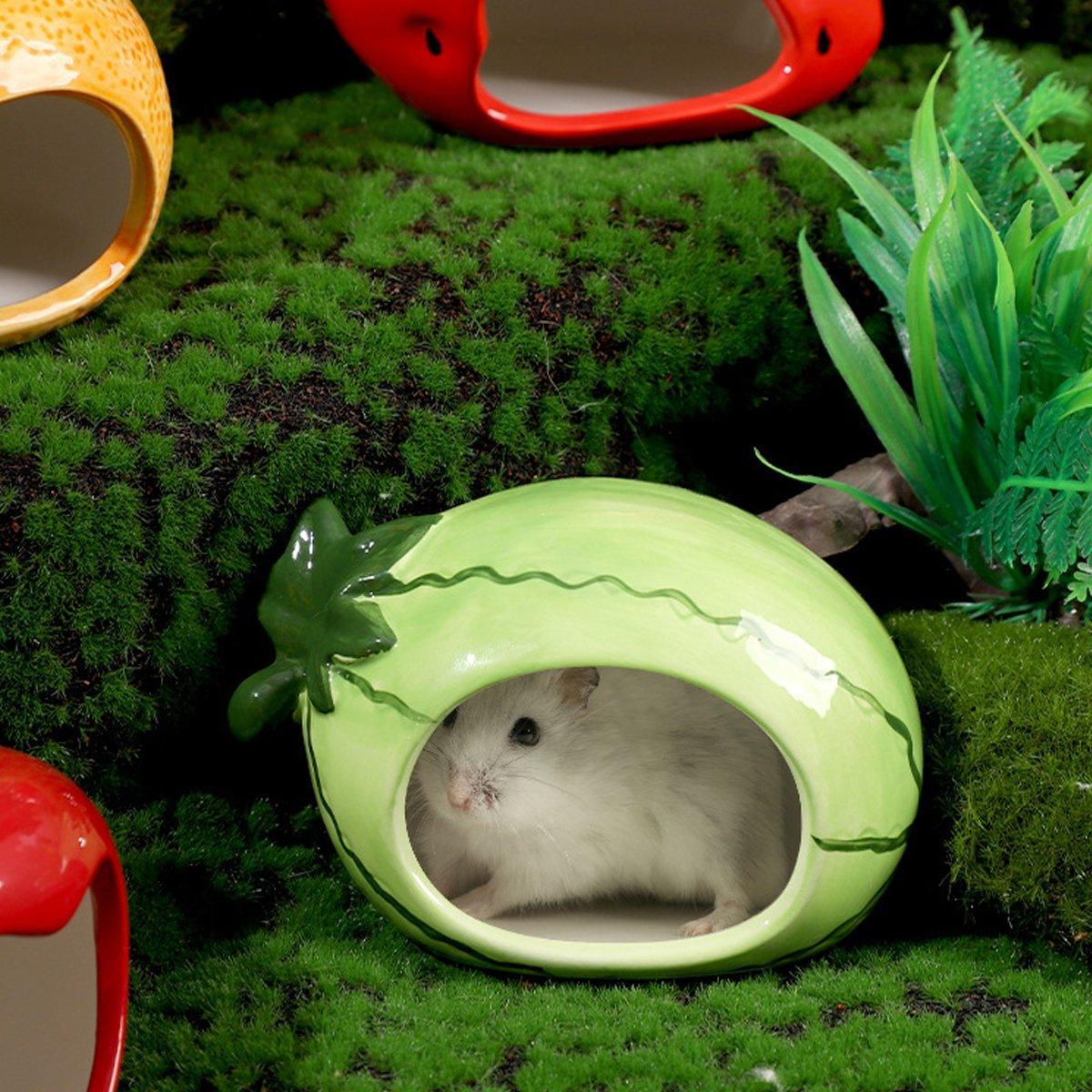 Ceramic Hamster Nest Shelter Landscaping Supplies Small Animal Hideout House