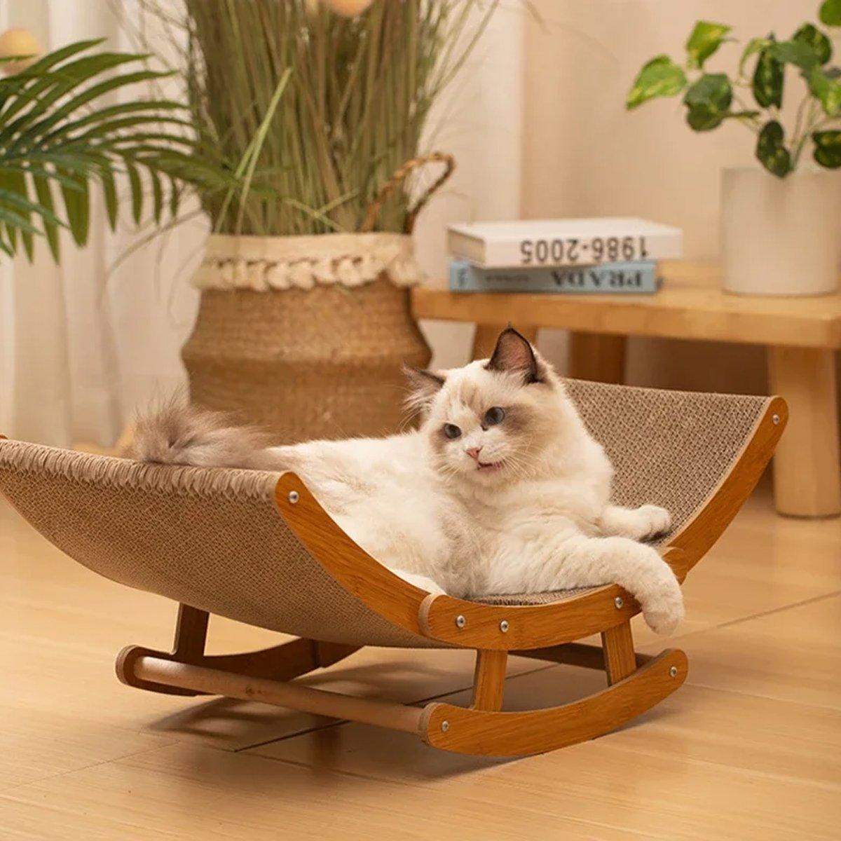 Ragdoll cat relaxing on a wooden hammock-style cat bed in a cozy living room