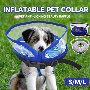Elizabethan Collars for Dogs