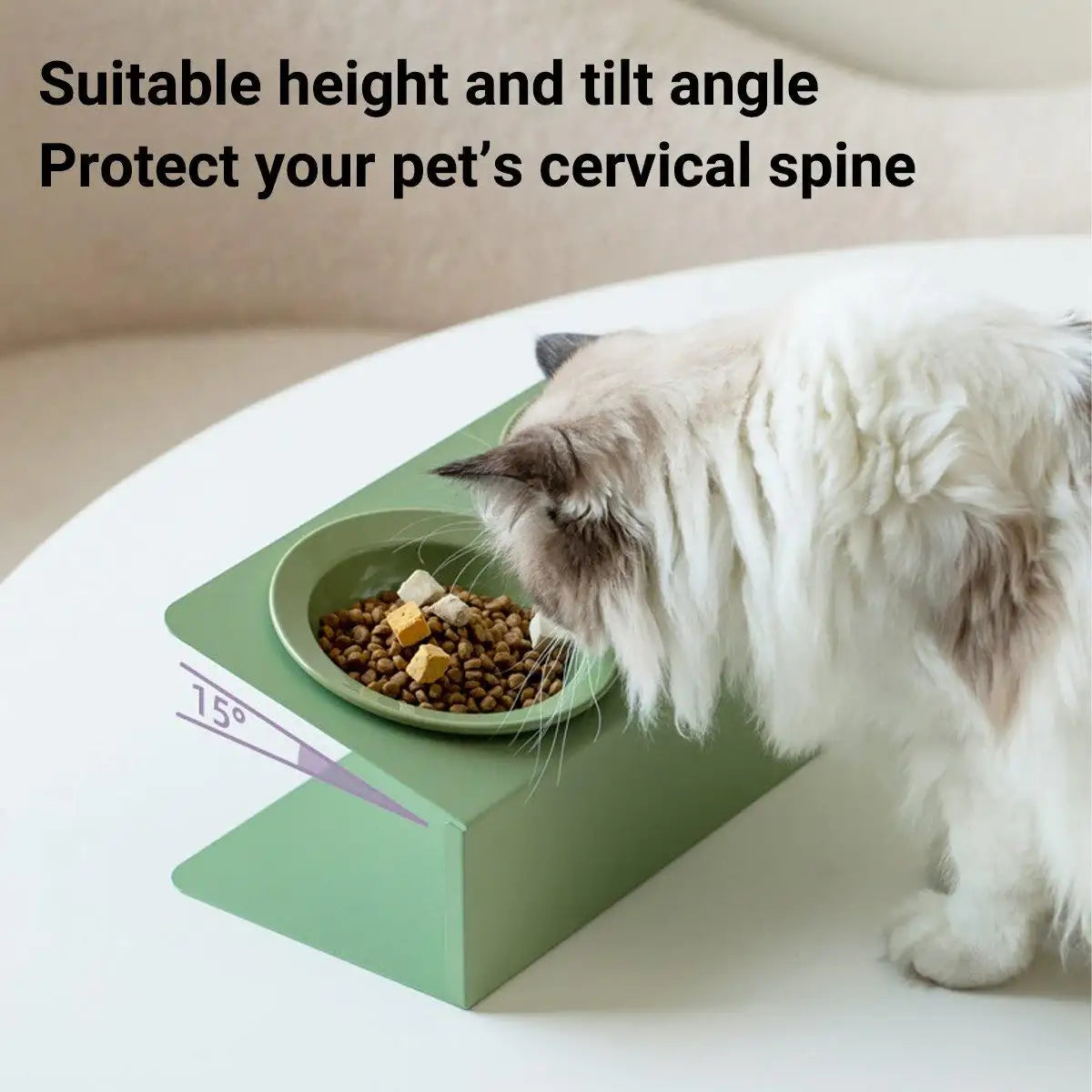 Ceramic Double Cat Bowl with Tilt Stand Elevated Pet Feeder for Comfort