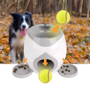 Interactive Dog Toys