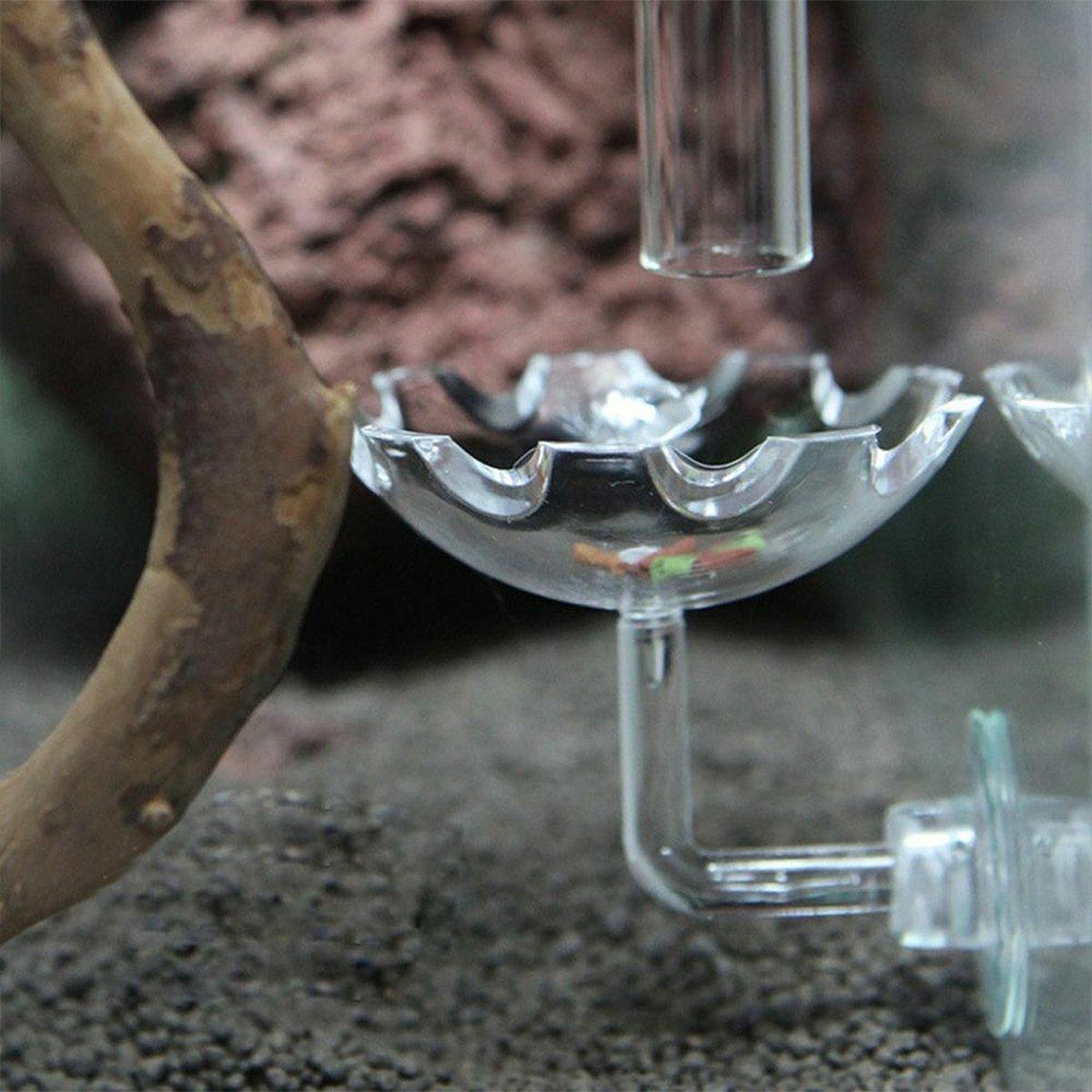 Aquarium Fish Tank Shrimp Food Feeder Clear Arylic Feeding Dish Fish Tank Feeder