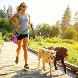 Pet Training Bag & Dog Walking Waist Bag Multi-use Garbage Collection Bag