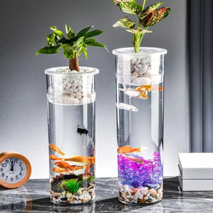 Modern Hydroponic Fish Tank with Cylindrical Design
