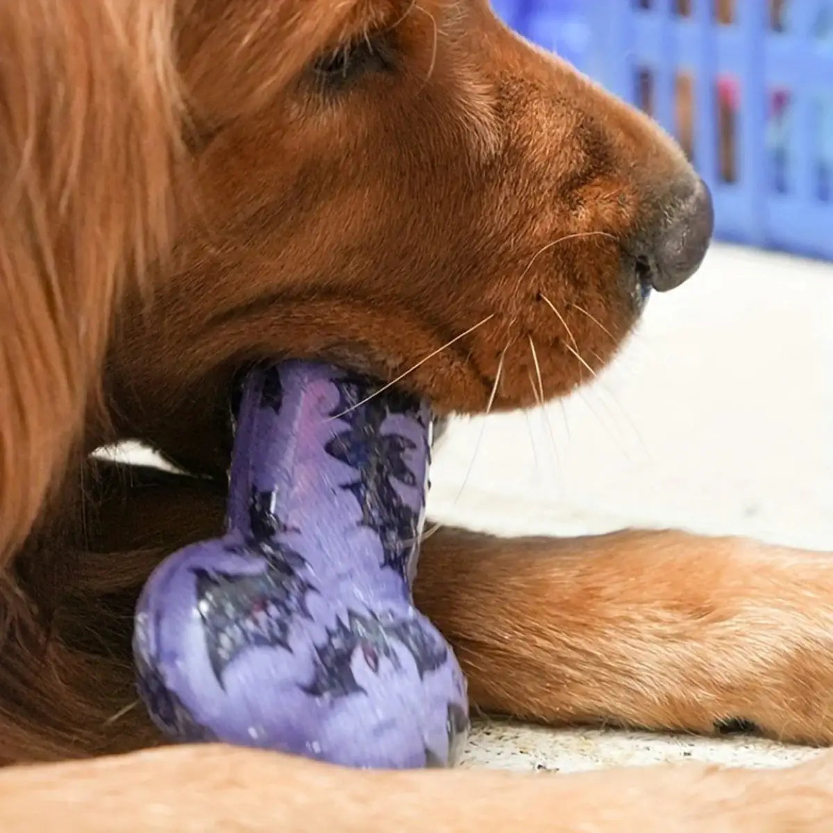Interactive Dog Bone Chew Toy for Dental Health Durable TPR Material Grey & Blue