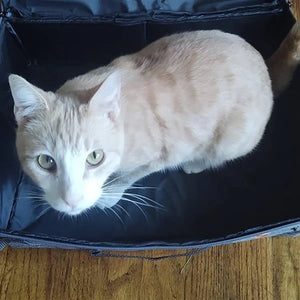 Travel Cat Litter Box With Lid and Handle Standard Portable Foldable Cat Litter Box Fabric Cat Litter Bag