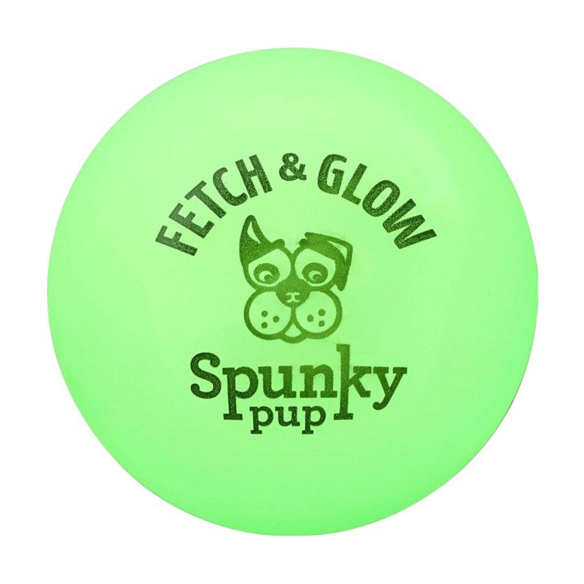 Spunky Pup Fetch & Glow Ball